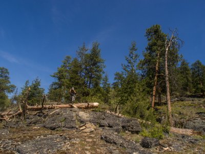 Naramata 2012