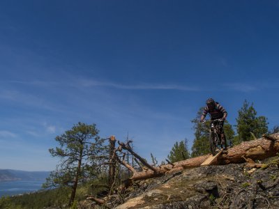 Naramata 2012