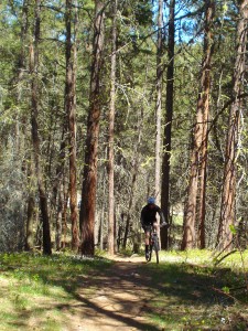 Riding a Rocky Mtn Altitude 29 on Smith Creek trails.