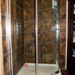 The Shower