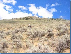 normal_bollocks_20_13[1]