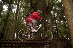 2004 Everything Else