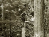 09_06_04-05