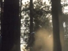 Naramata-2003-01