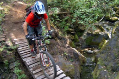 Brazilians and Germans