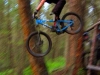 bollocks_14_06