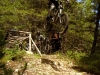 bollocks_15_04