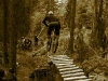 bollocks_20_05
