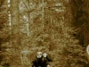 bollocks_20_06