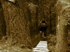 bollocks_20_07