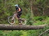 bollocks_20_08