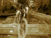 bollocks_21_11