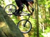bollocks_22_05