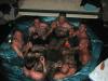 july-15__06-797025