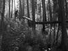 july-17__20-731297
