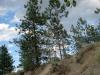 july-18__07-729874