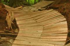 NSMBA Traildays 2005