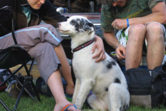 Disneyland June 2006