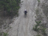 June-29_10