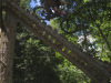 June-30_9
