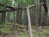 July-12_10
