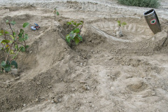 Pinkbike Williams Lake