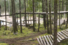 Vancouver Is. Spring 2007