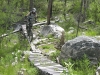 June-20_3