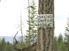 June-20_8