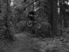 july-16__05-715940