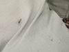 july-16__17-793995