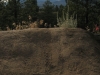 july-18__08-725745