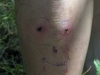 july-19__06-715257