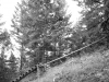 july-19__08-709691