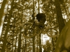 july-20__11-725407