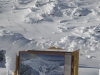 001_January-10_11