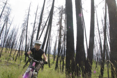 Team Banana Bread 2008