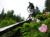 June-22_3
