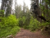 June-23_9