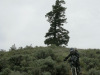 June-24_7