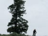June-24_8