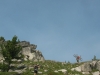 August-03_5