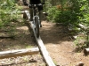 July-04_2