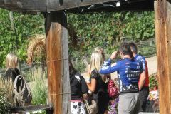 The Son of Yet Another Stag Ride