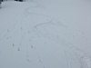 March-21_07