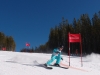 Apex Carvers - Baldy Zone Race