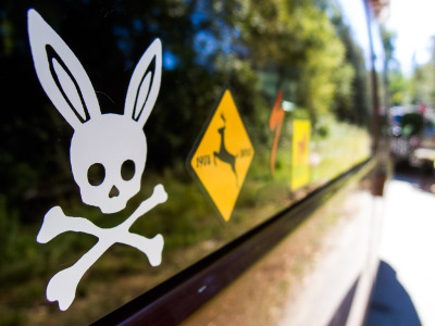 Cat Sass Bonus - Rossland Riding