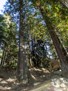 Cat Sass Bonus - Rossland Riding