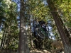 Cat Sass Bonus - Rossland Riding