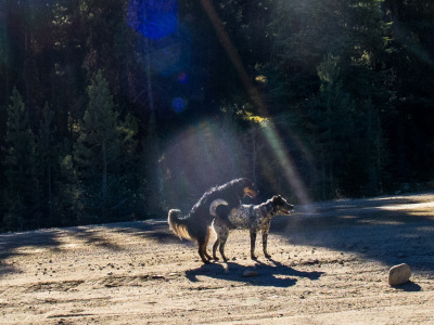 Cranksgiving - Sheep Rocks
